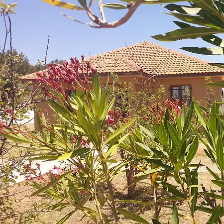 Kavi Homes