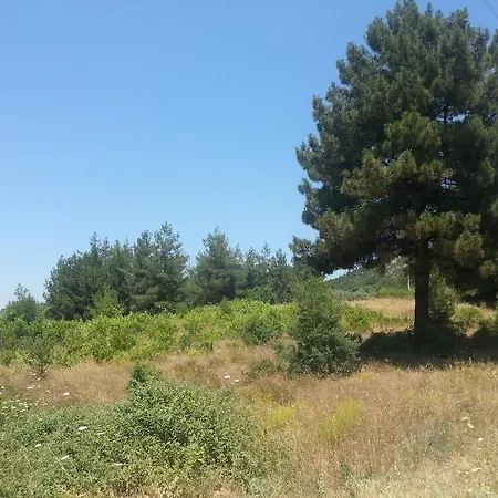 Kavi Homes * Akyaka (Mugla)